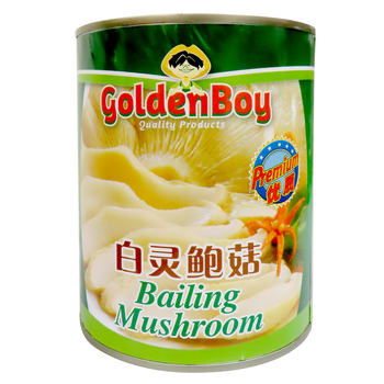 Image Bailing Mushroom (Can) 白灵鲍菇 (罐) 850grams