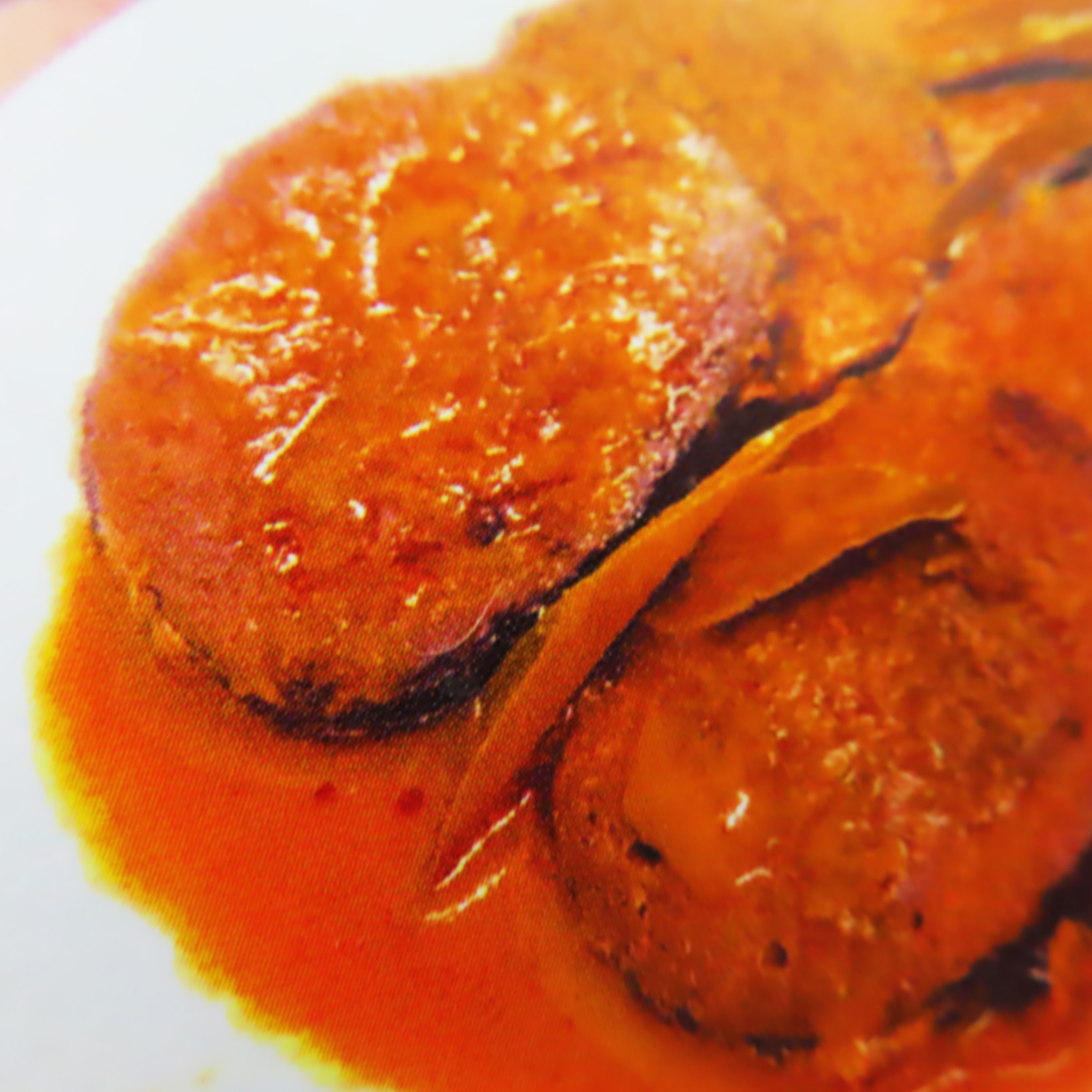 Image Penang Indian Curry 槟城素印度咖喱（鱼） 500grams